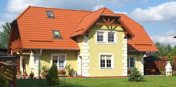 SREBRNY KLON